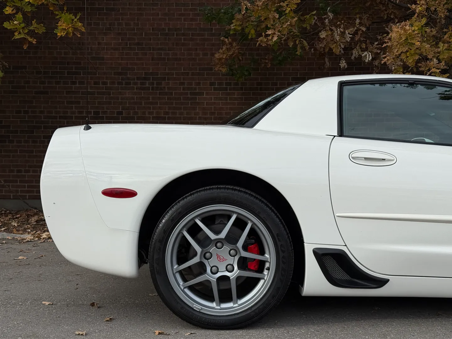 Chevrolet Corvette Z06 Rare Speedway White Collector Grade — photo 88
