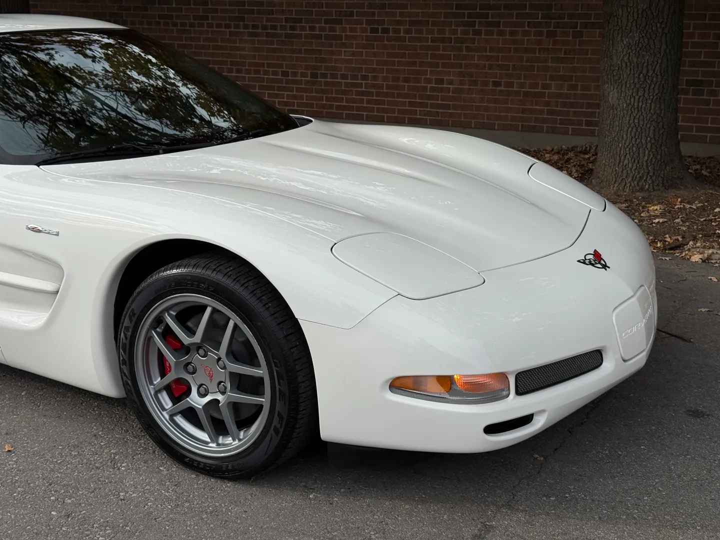 Chevrolet Corvette Z06 Rare Speedway White Collector Grade — photo 91
