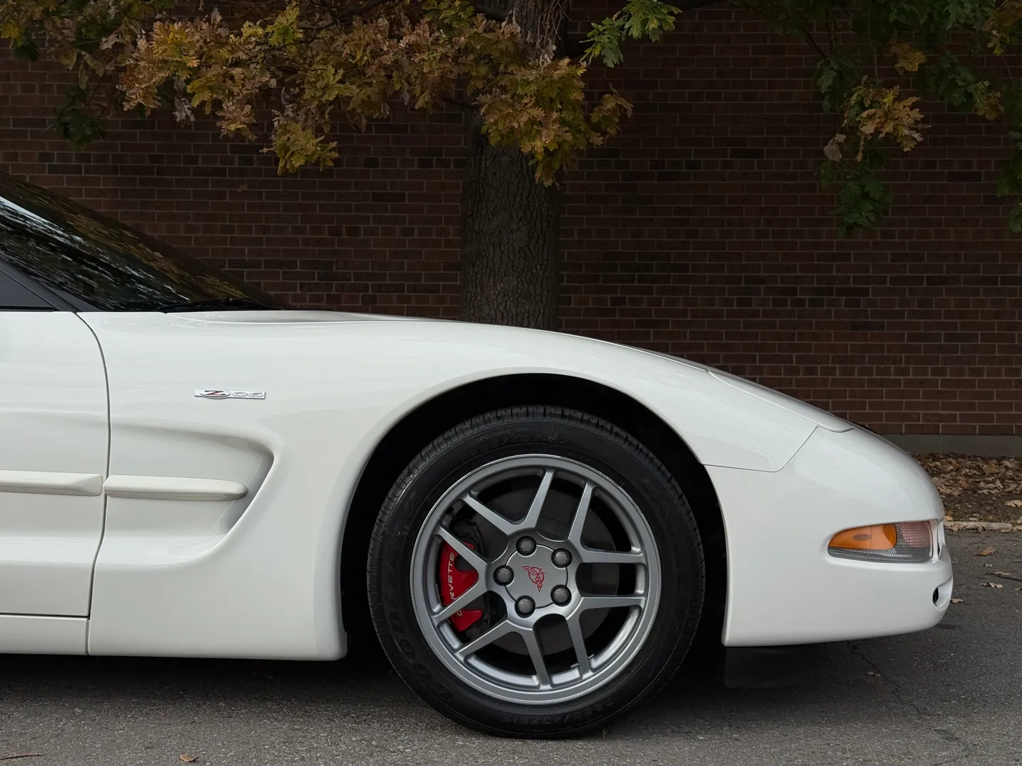 Chevrolet Corvette Z06 Rare Speedway White Collector Grade — photo 89