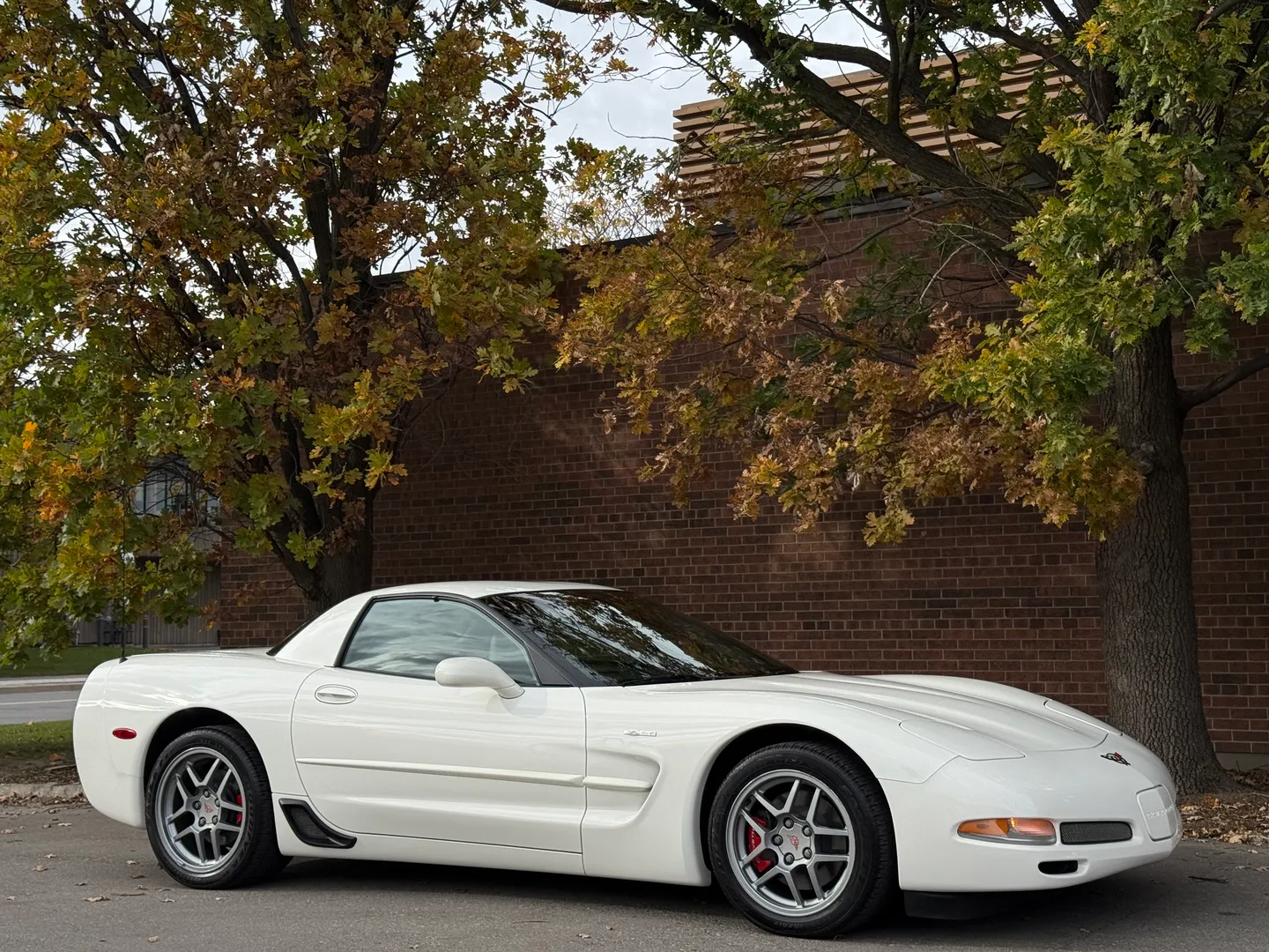 Chevrolet Corvette Z06 Rare Speedway White Collector Grade — photo 90