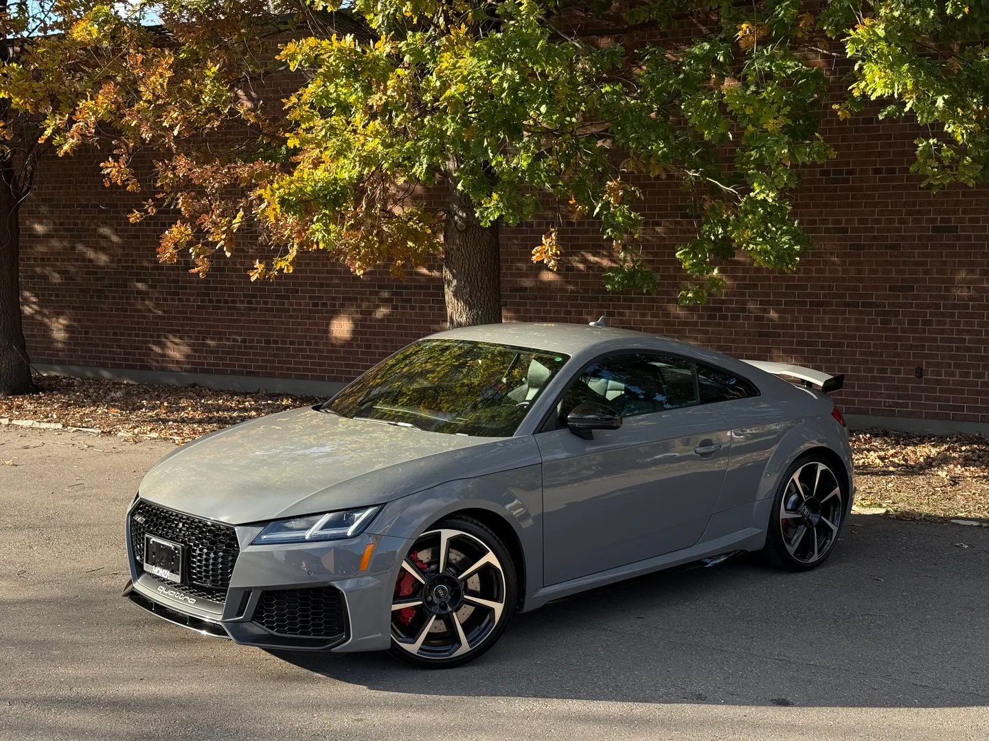 Audi TTRS — photo 2