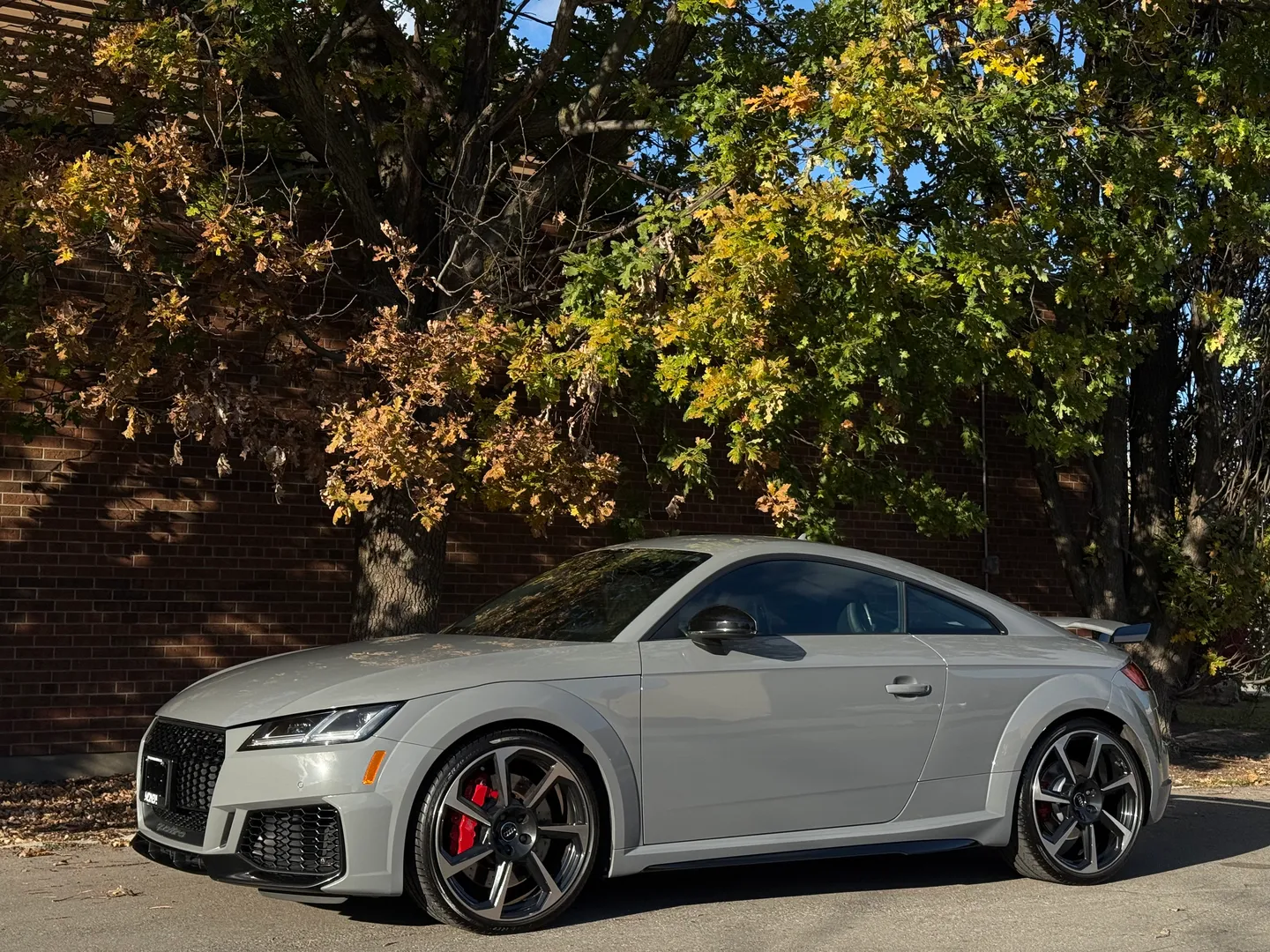 Audi TTRS  — photo 9
