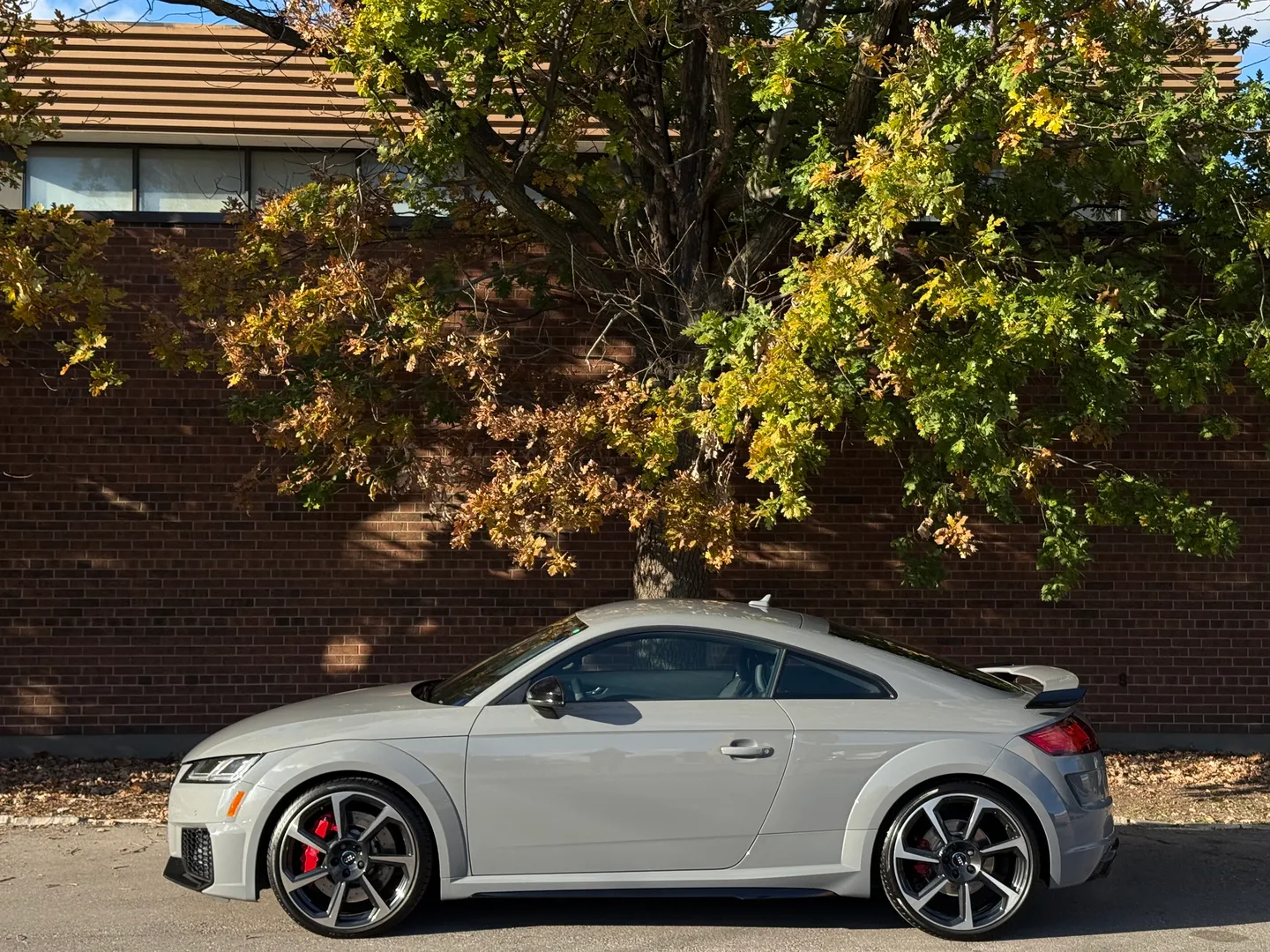 Audi TTRS  — photo 10