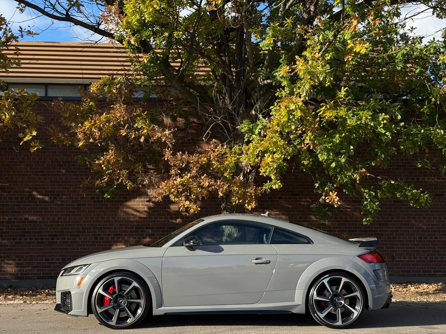 Audi TTRS  — photo 11