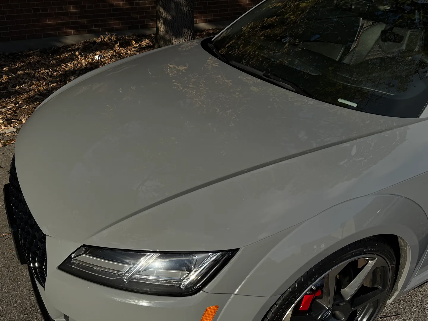 Audi TTRS  — photo 16