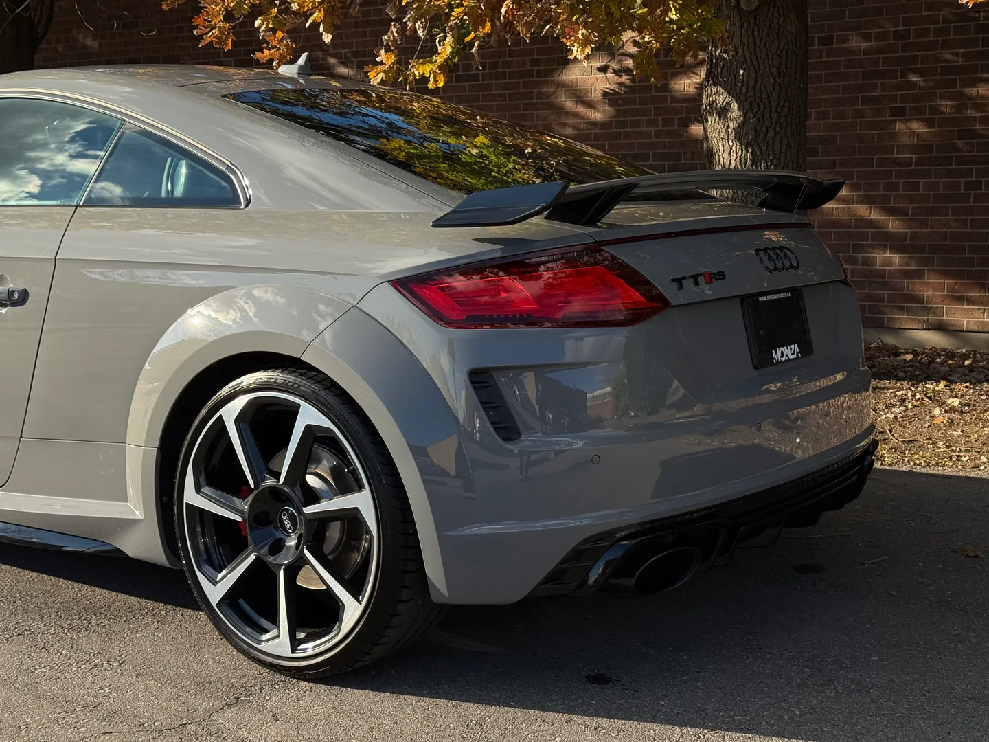 Audi TTRS  — photo 21