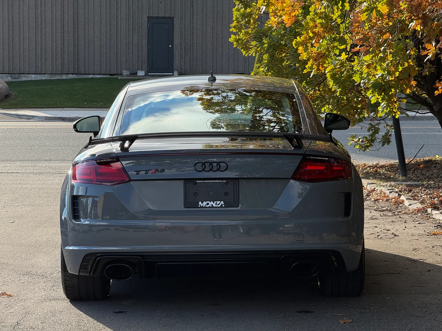 Audi TTRS  — photo 22