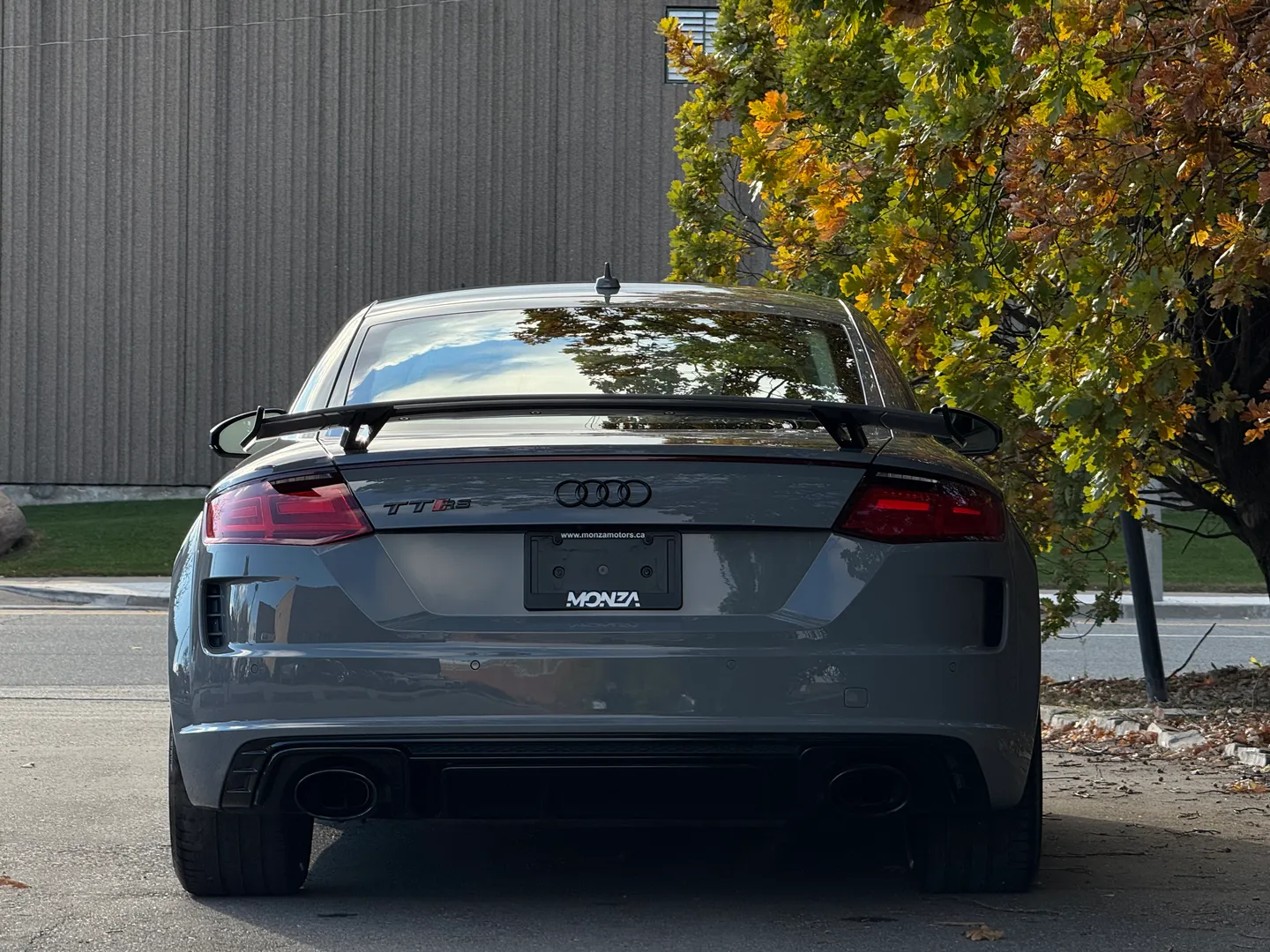 Audi TTRS  — photo 23