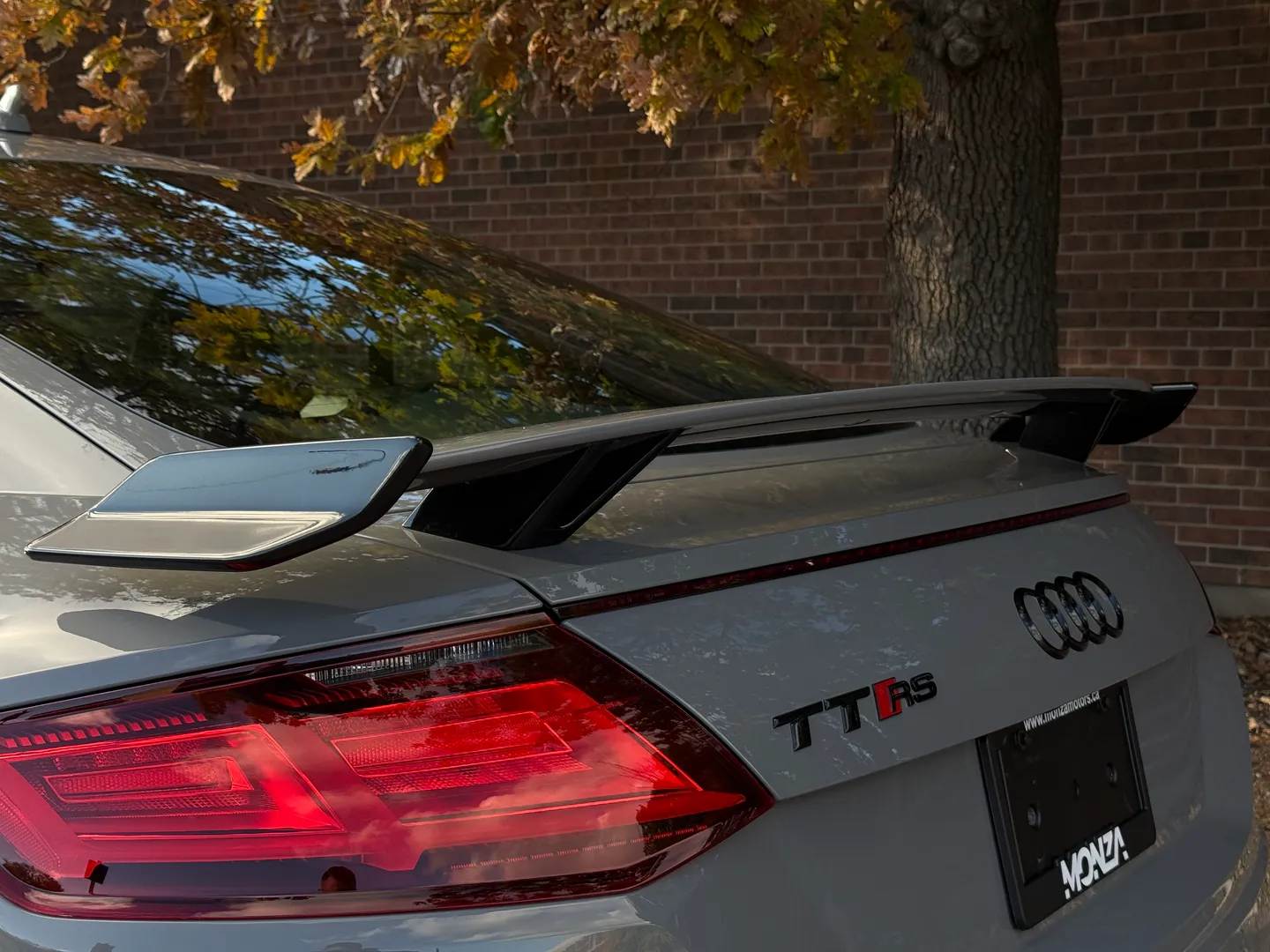 Audi TTRS  — photo 28