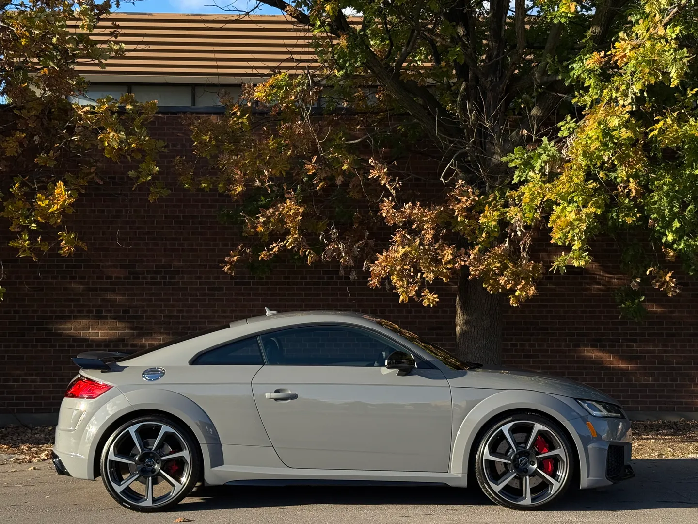 Audi TTRS  — photo 90