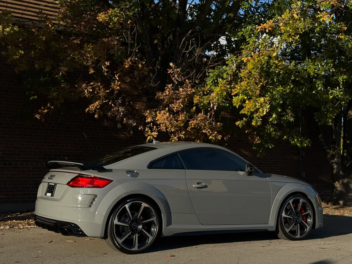 Audi TTRS  — photo 89