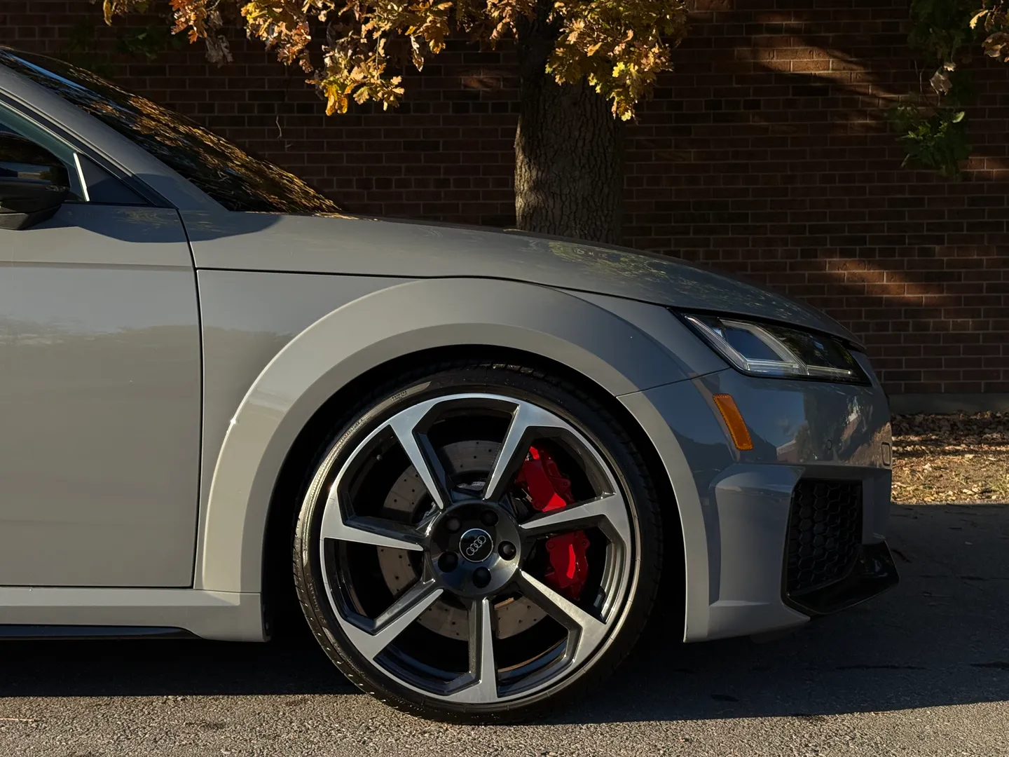 Audi TTRS  — photo 92