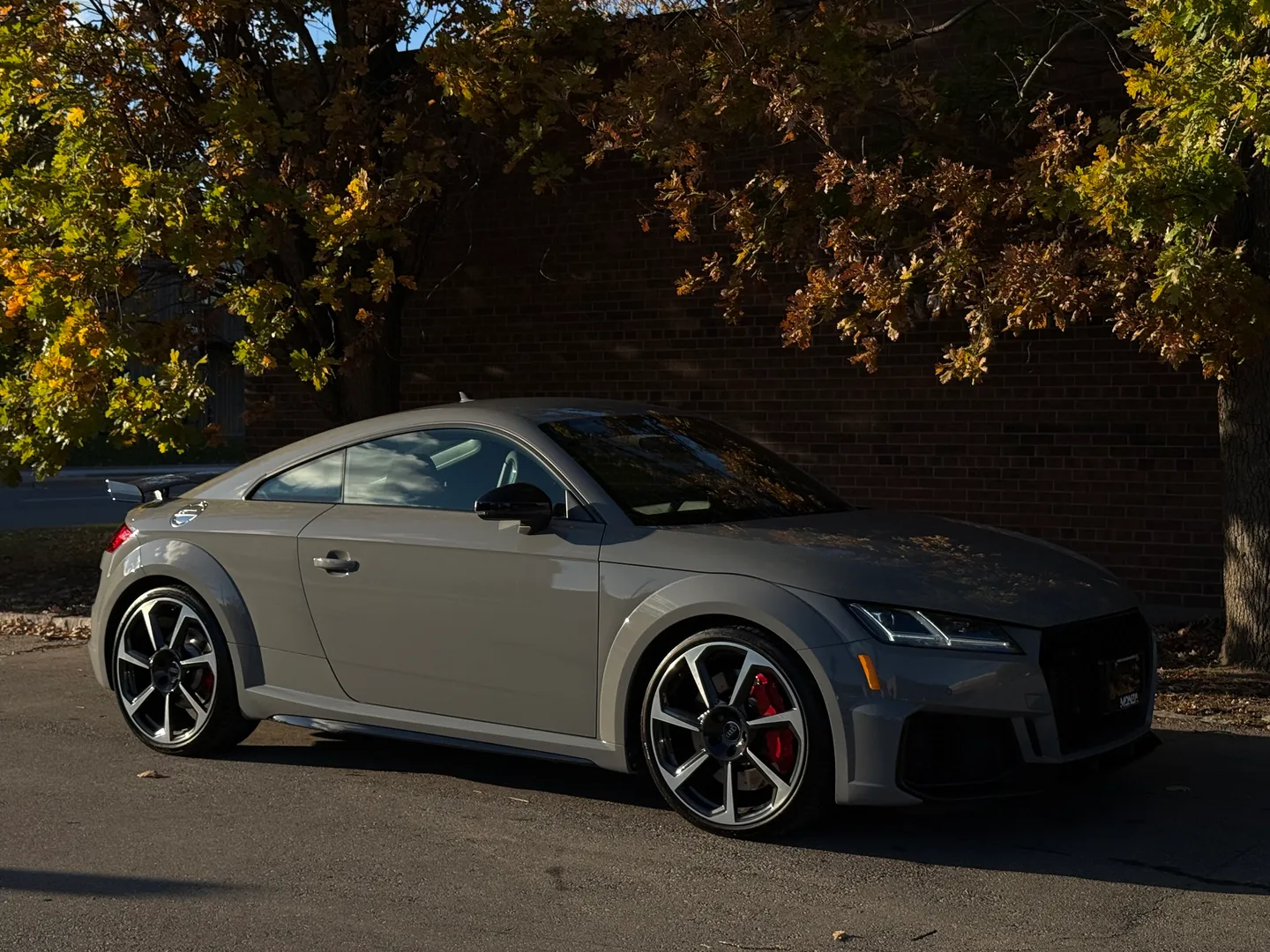 Audi TTRS  — photo 93