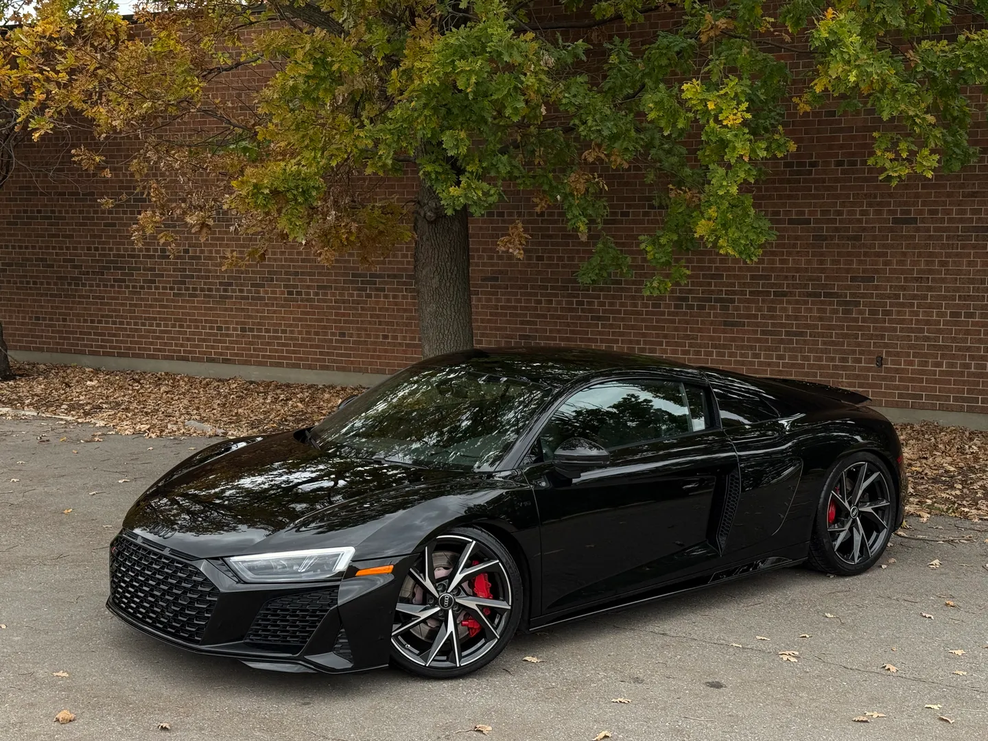 Audi R8 V10 RWD Coupe — photo 2