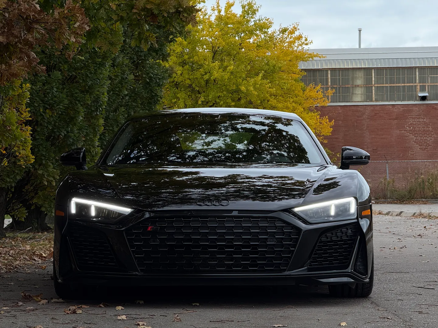 Audi R8 V10 RWD Coupe — photo 5
