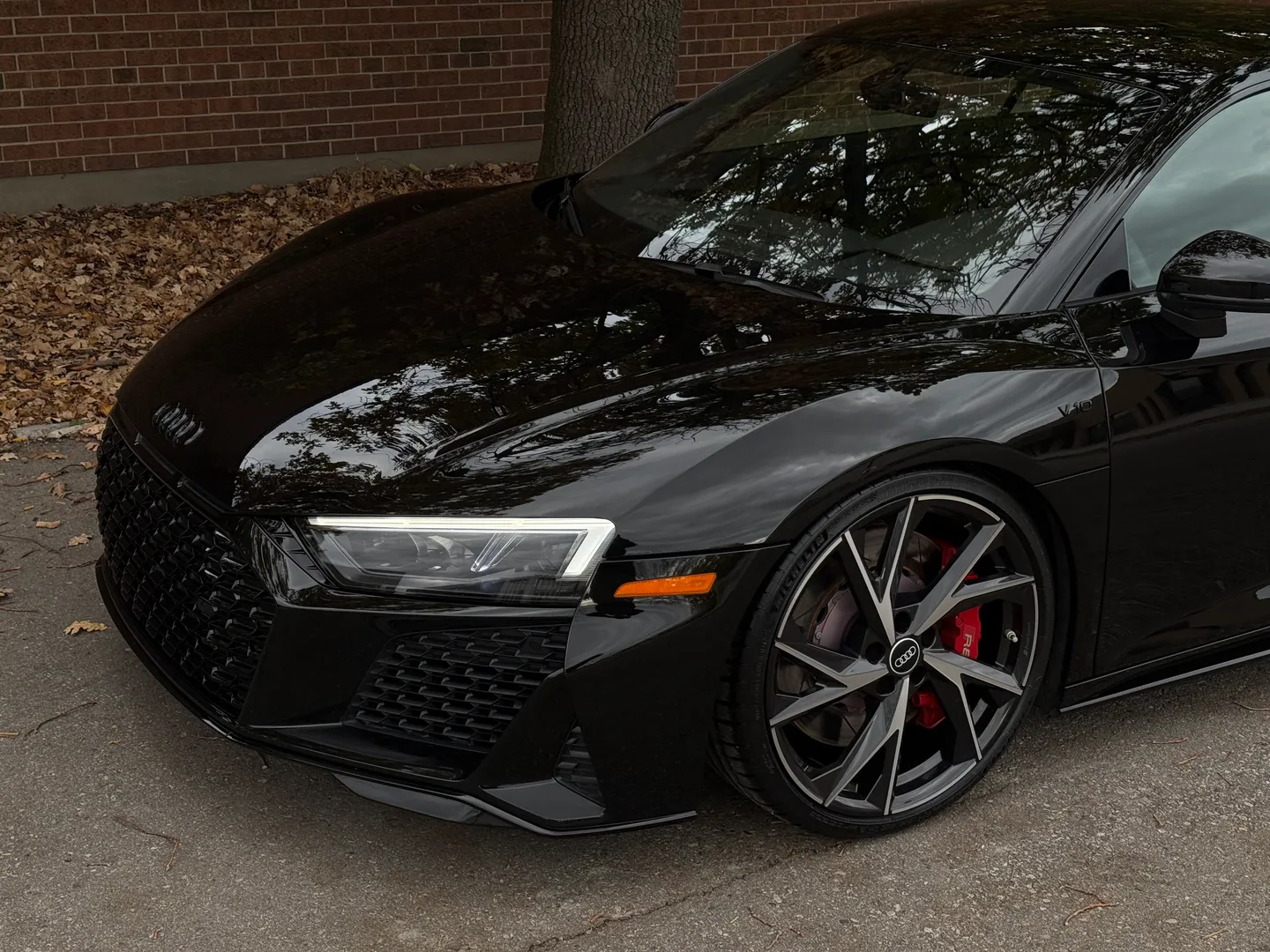 Audi R8 V10 RWD Coupe — photo 6