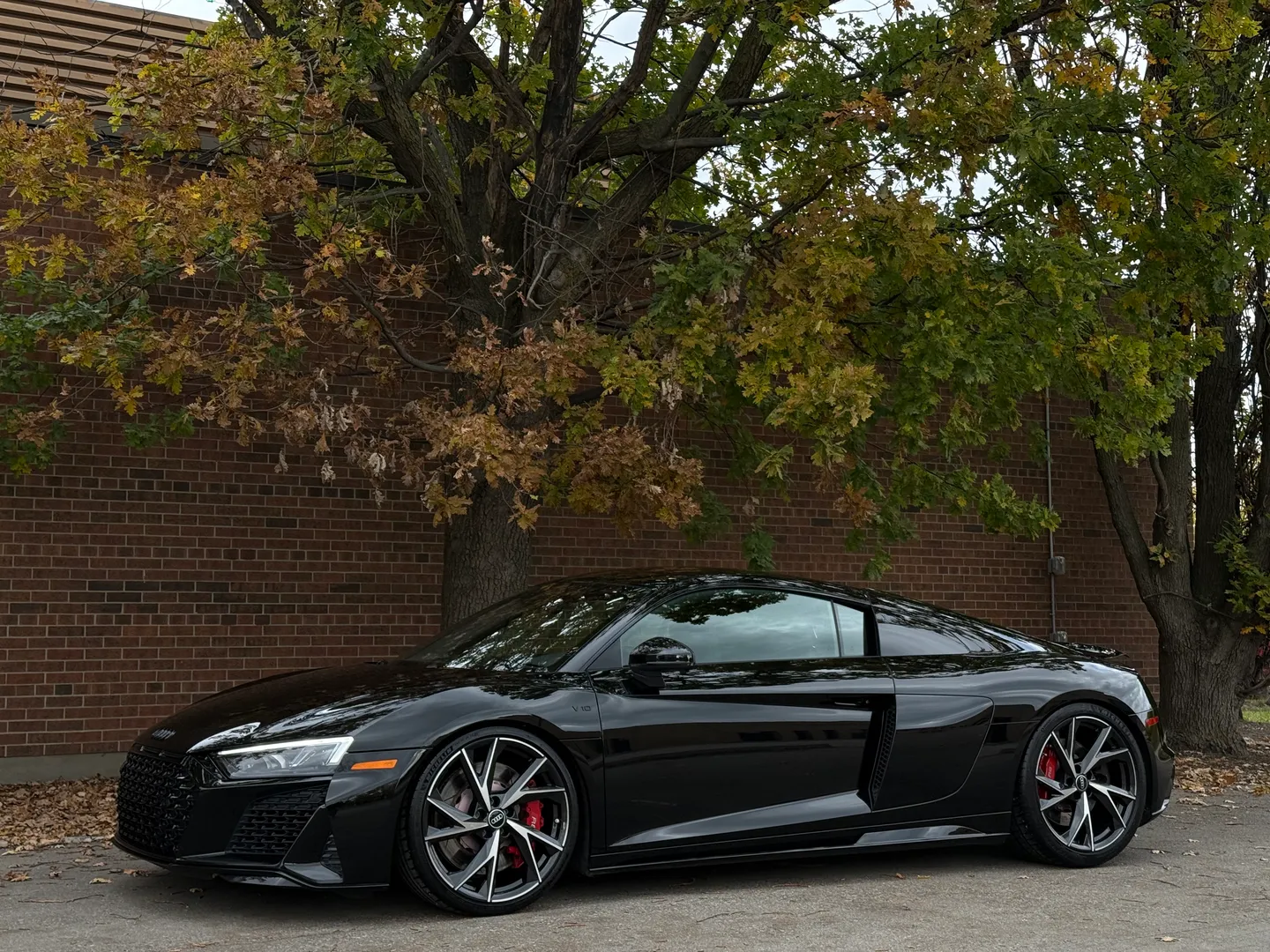 Audi R8 V10 RWD Coupe — photo 10