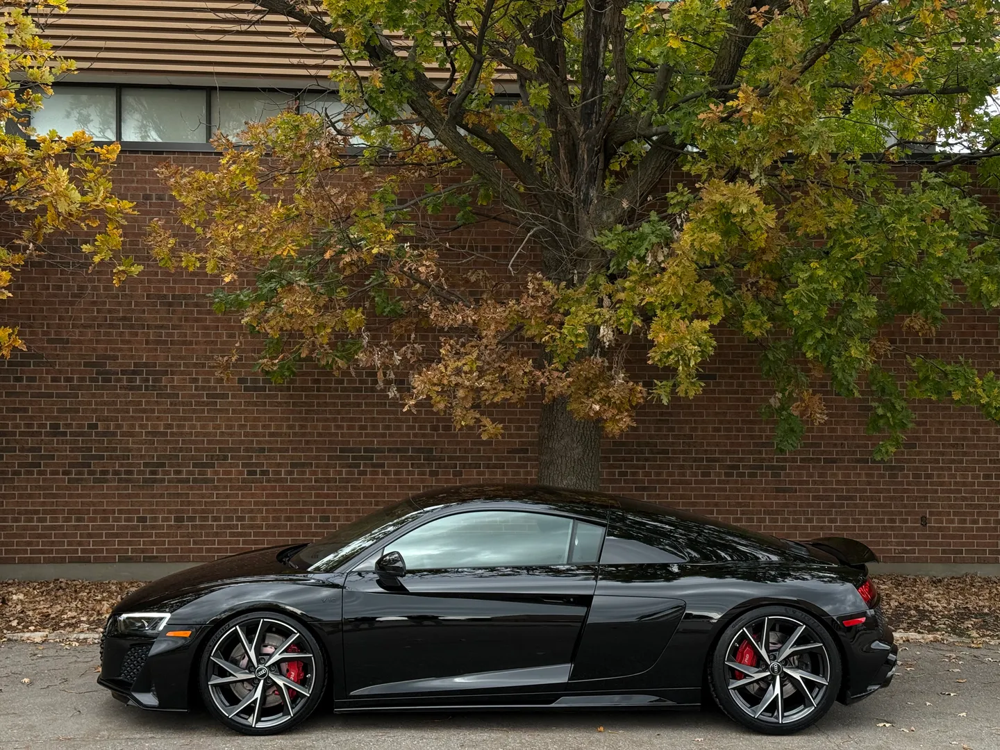 Audi R8 V10 RWD Coupe — photo 11