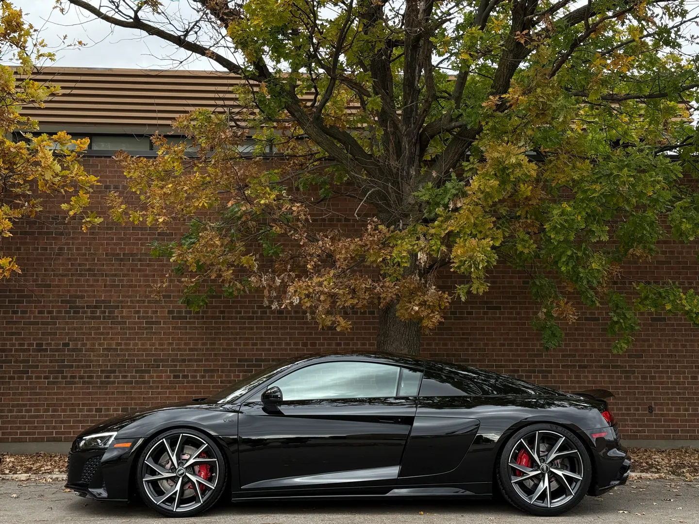 Audi R8 V10 RWD Coupe — photo 12