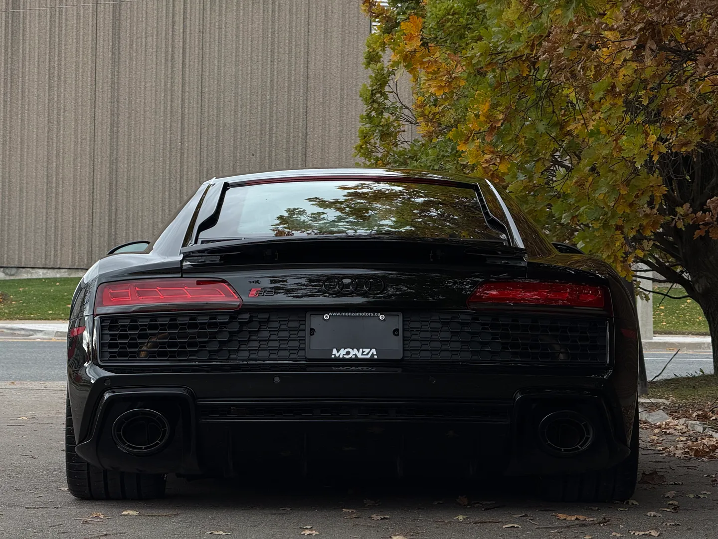 Audi R8 V10 RWD Coupe — photo 28