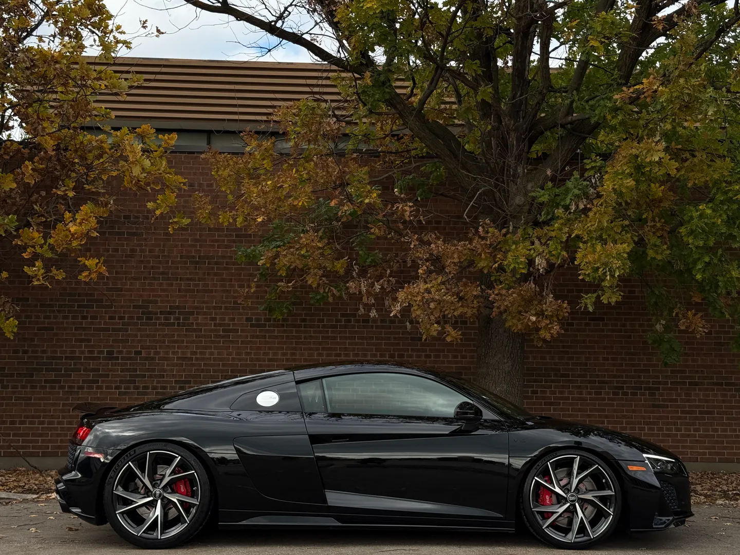 Audi R8 V10 RWD Coupe — photo 97