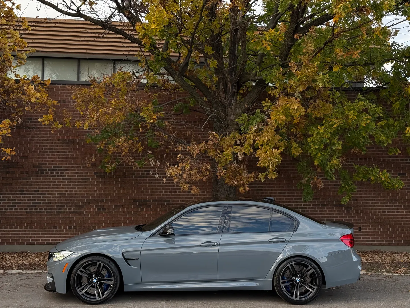 BMW M3 Competition 7 Speed DCT — photo 11