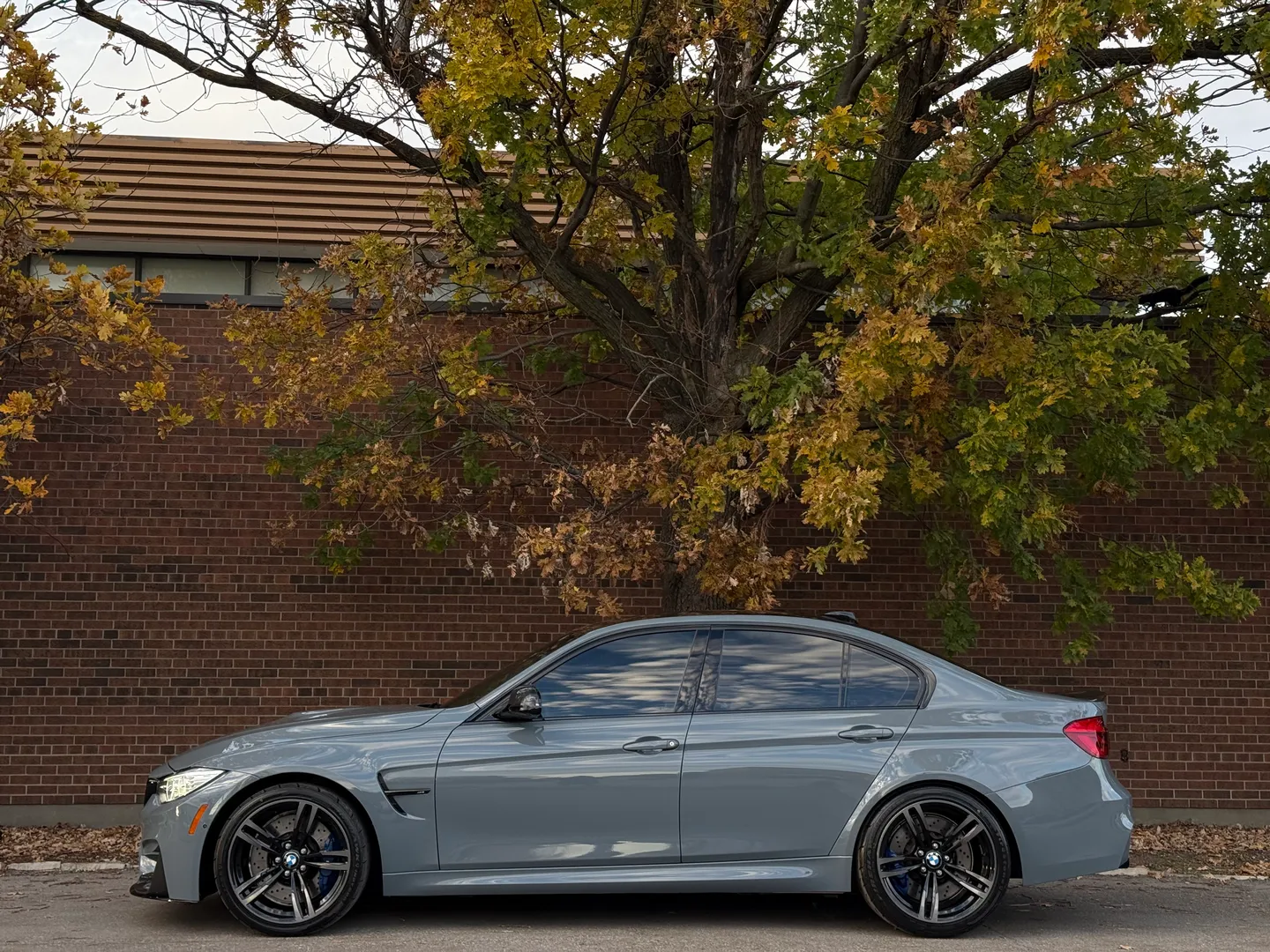 BMW M3 Competition 7 Speed DCT — photo 12