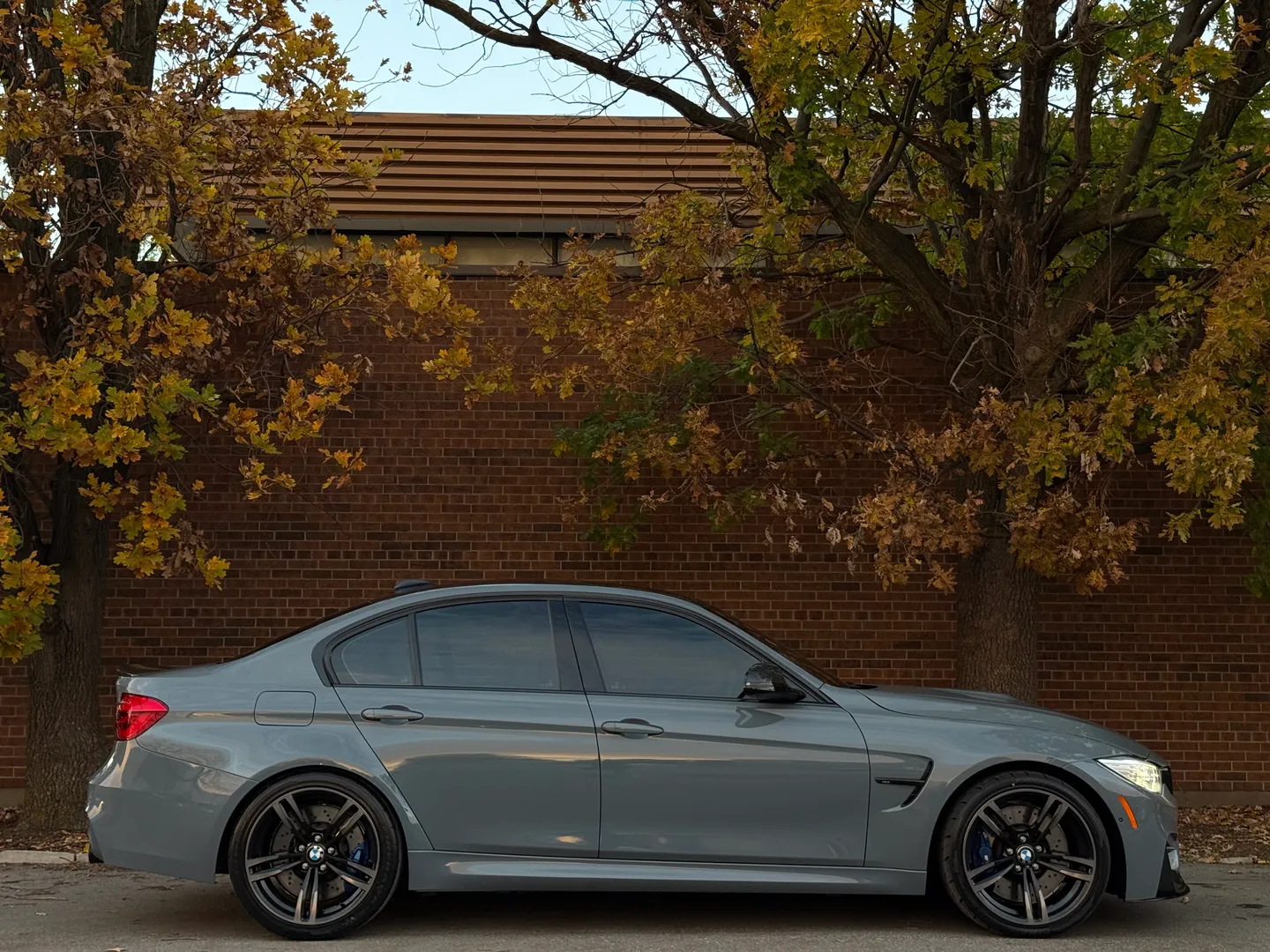 BMW M3 Competition 7 Speed DCT — photo 105