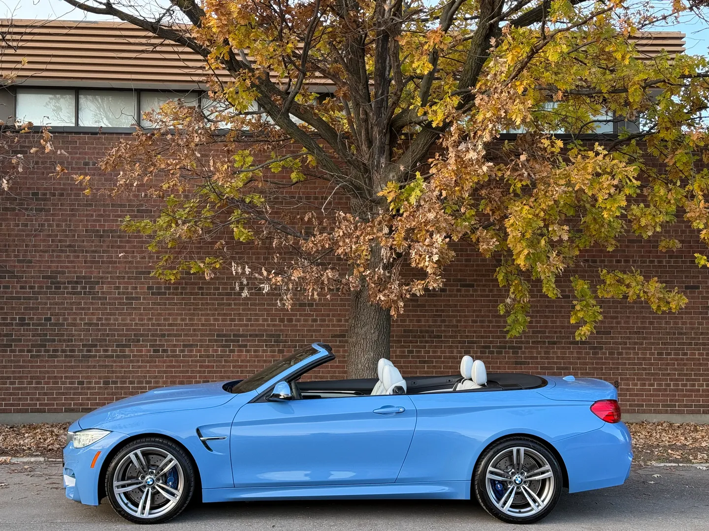 BMW M4 DCT Cabriolet — photo 11