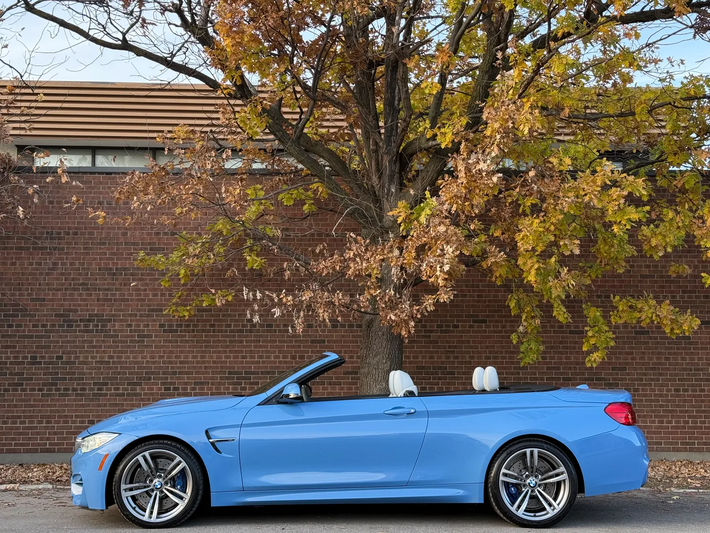 BMW M4 DCT Cabriolet — photo 12