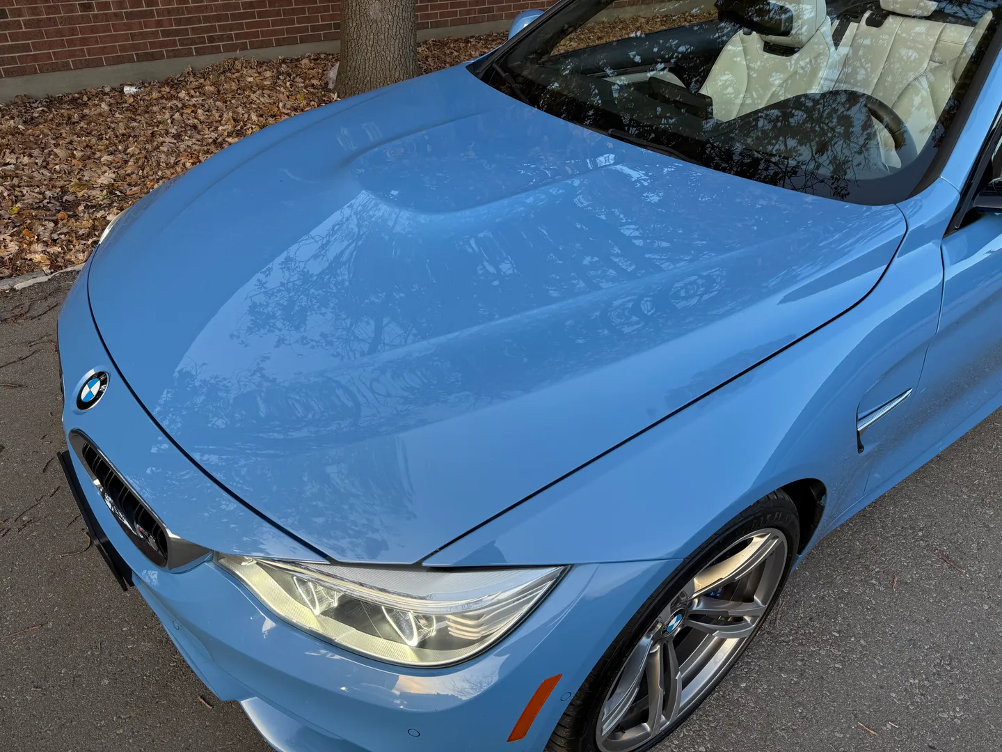 BMW M4 DCT Cabriolet — photo 17