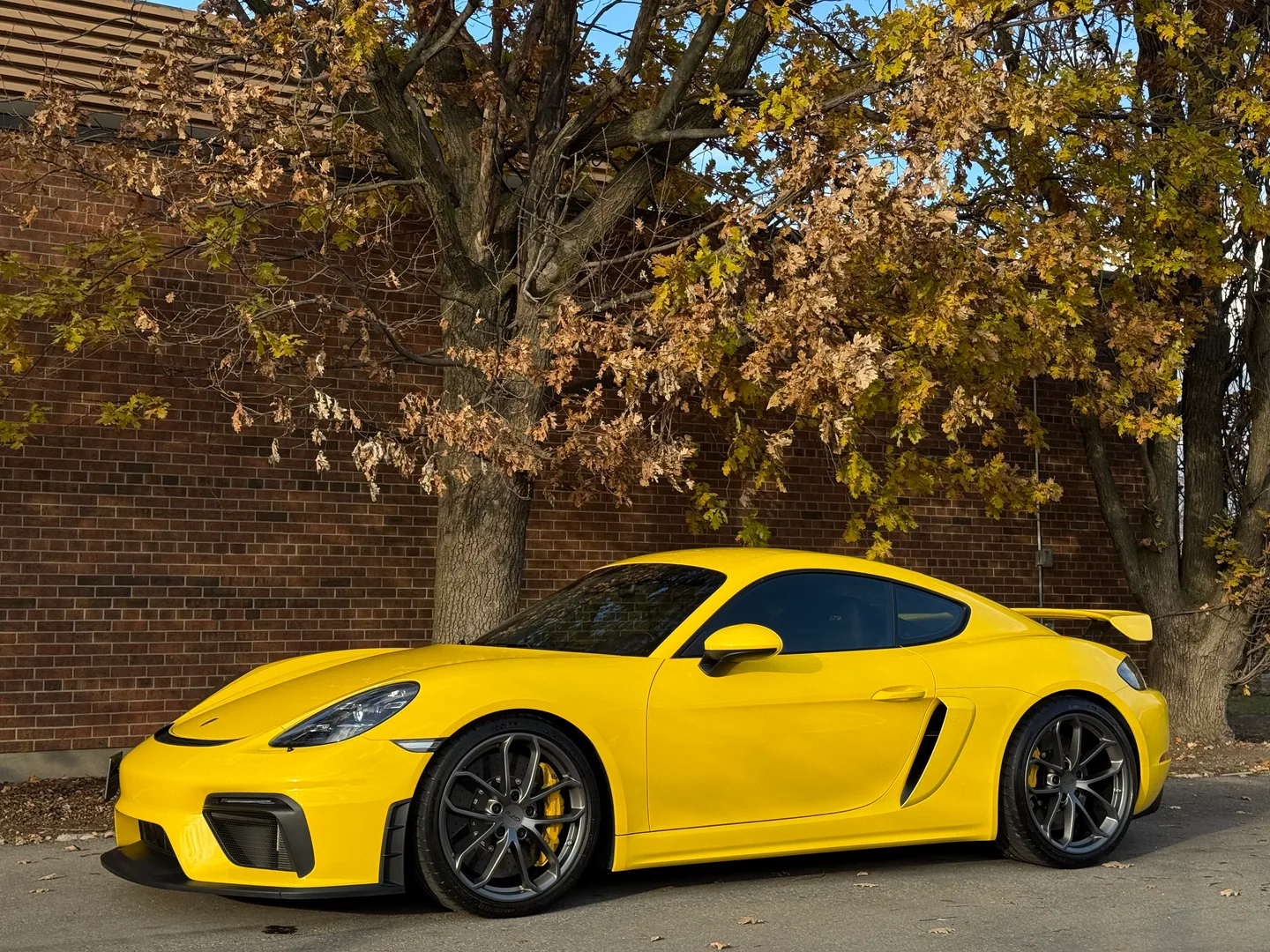 Porsche 718 Cayman GT4 6 Speed Manual  — photo 10