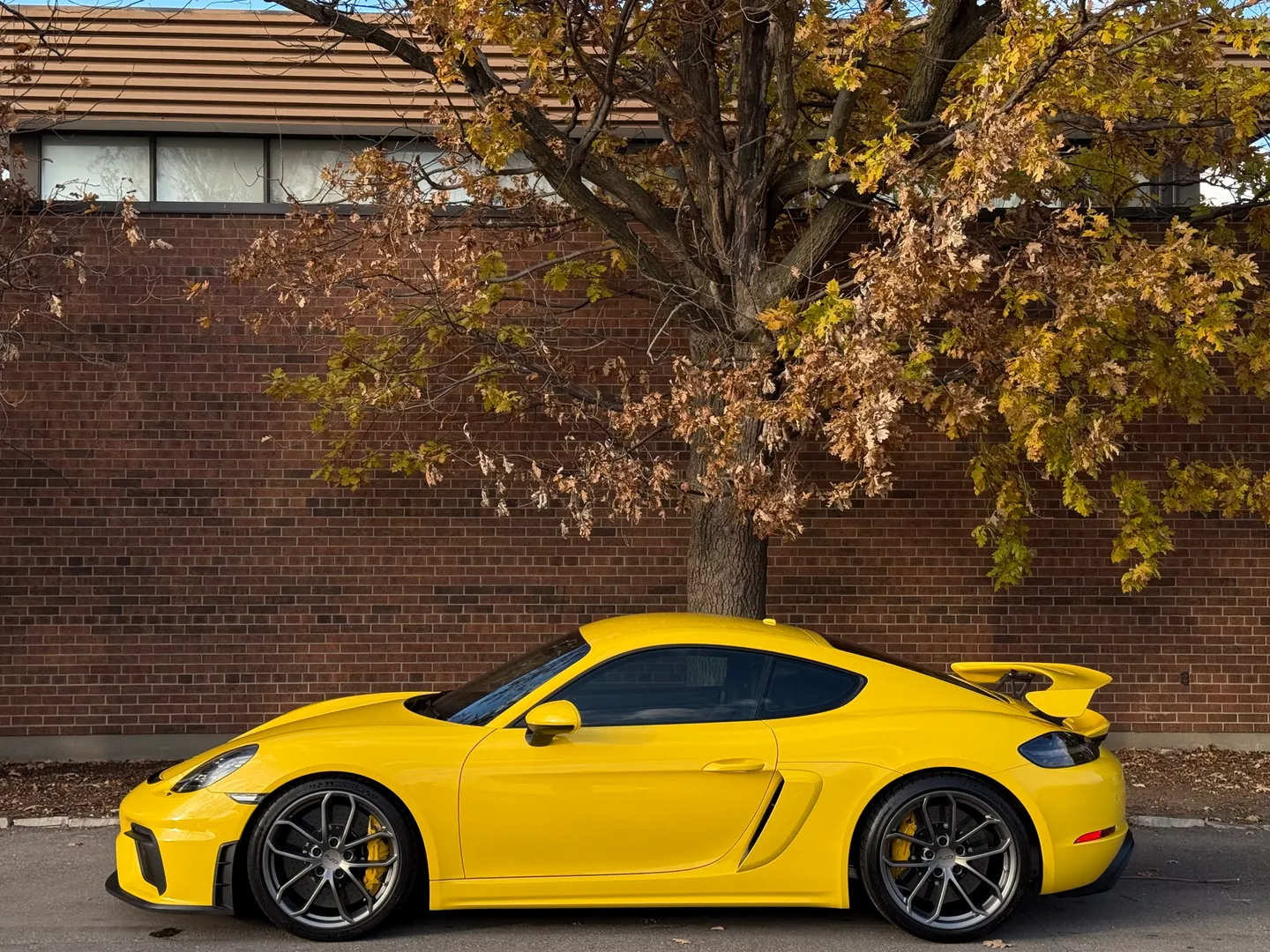 Porsche 718 Cayman GT4 6 Speed Manual  — photo 11