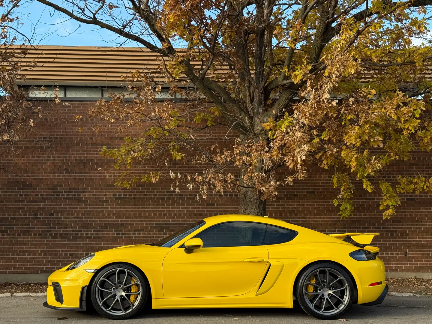 Porsche 718 Cayman GT4 6 Speed Manual  — photo 12