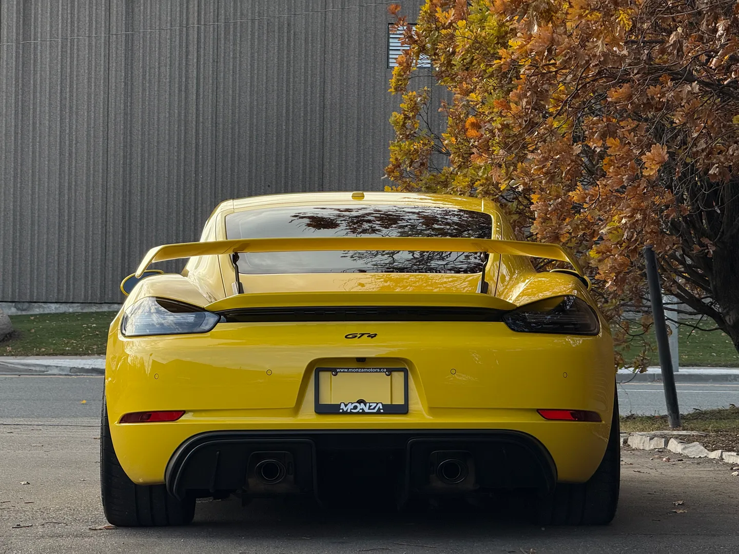Porsche 718 Cayman GT4 6 Speed Manual  — photo 29