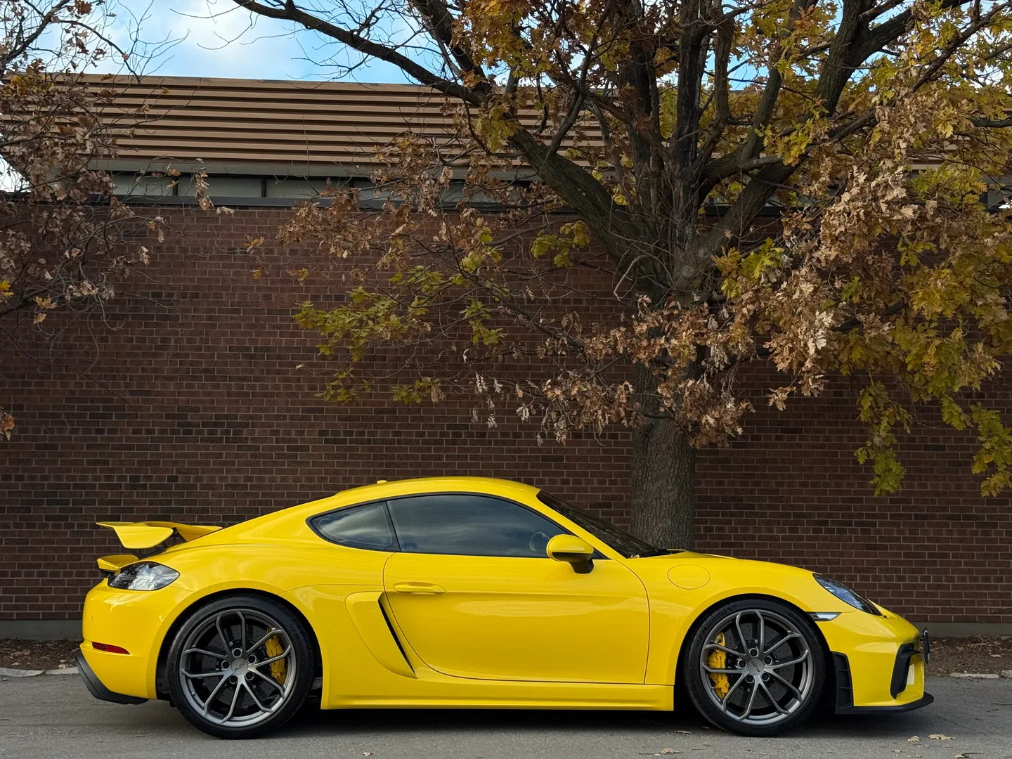 Porsche 718 Cayman GT4 6 Speed Manual  — photo 95