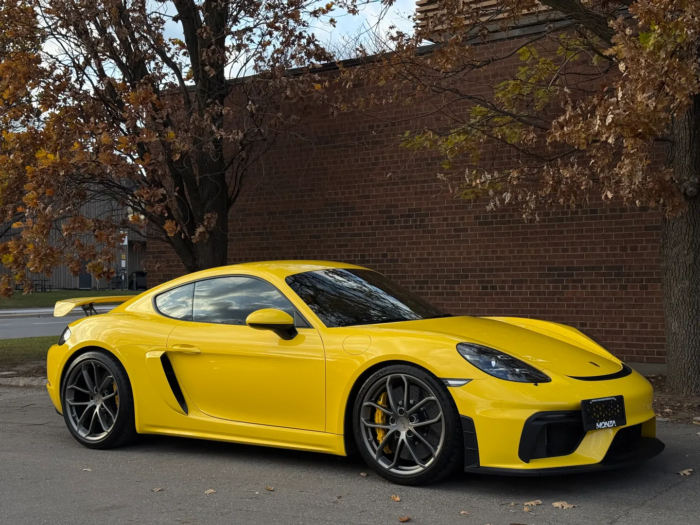 Porsche 718 Cayman GT4 6 Speed Manual  — photo 98