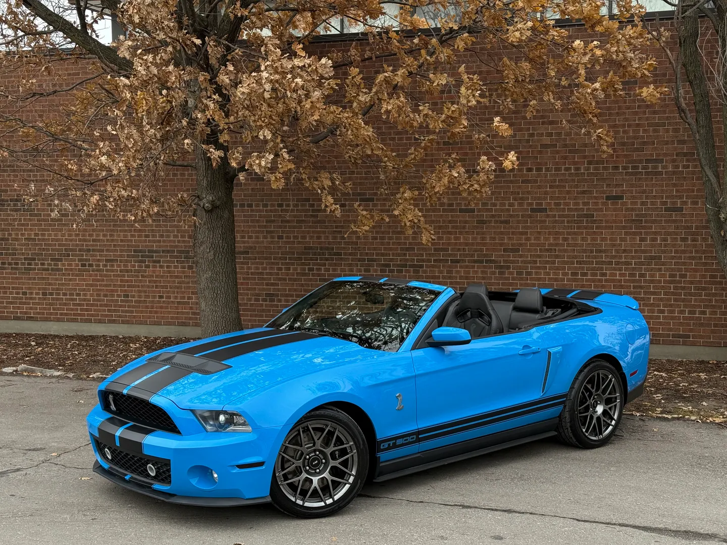 Ford Mustang Shelby GT500 6 Speed Manual Convertible — photo 2