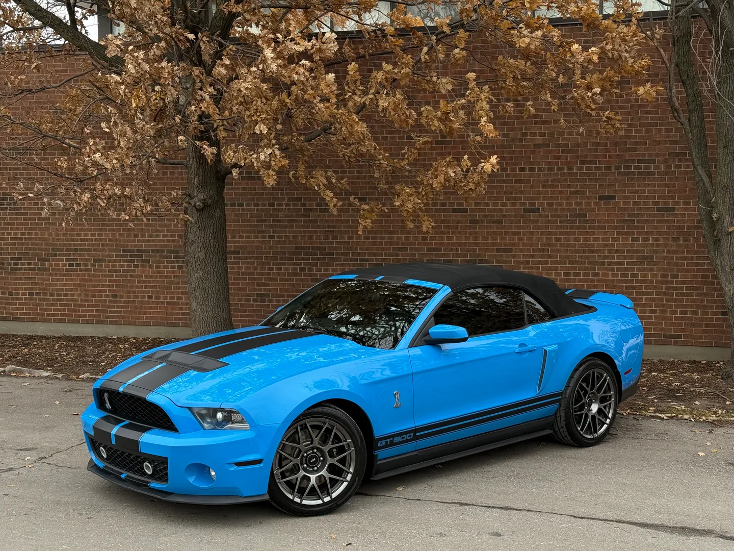 Ford Mustang Shelby GT500 6 Speed Manual Convertible — photo 4