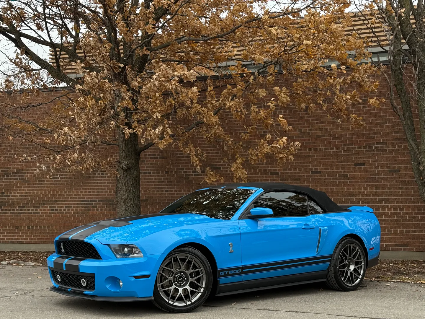 Ford Mustang Shelby GT500 6 Speed Manual Convertible — photo 3
