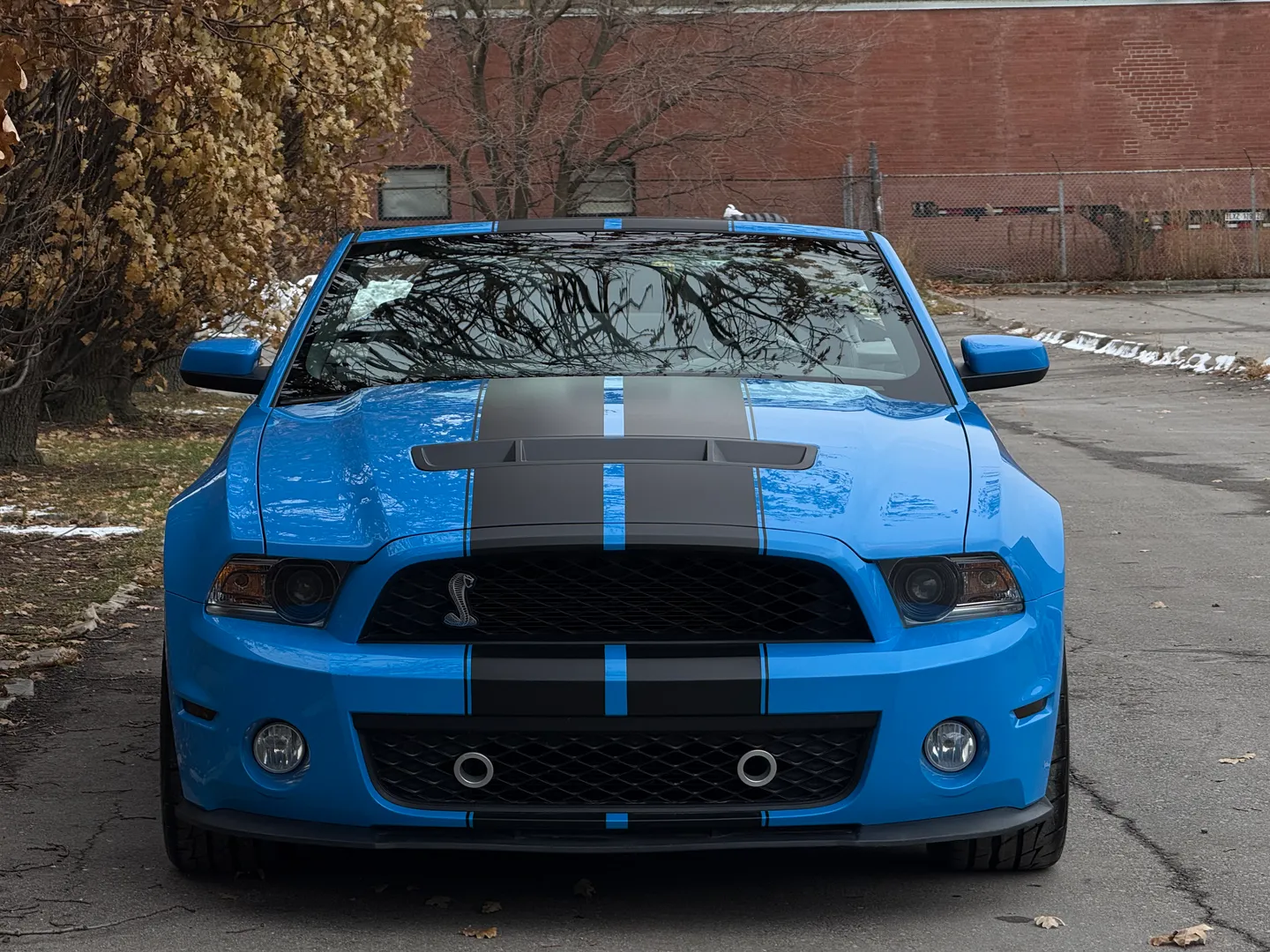 Ford Mustang Shelby GT500 6 Speed Manual Convertible — photo 5