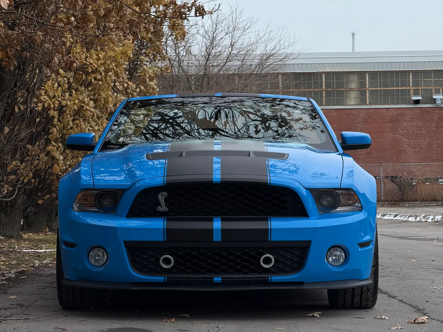 Ford Mustang Shelby GT500 6 Speed Manual Convertible — photo 6