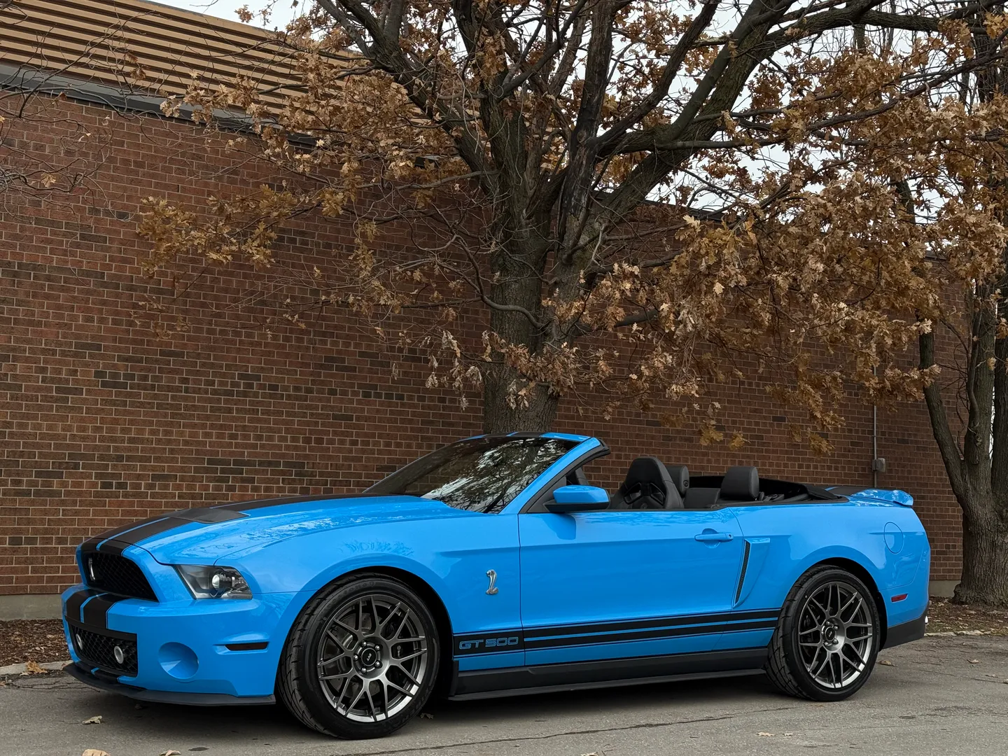 Ford Mustang Shelby GT500 6 Speed Manual Convertible — photo 10