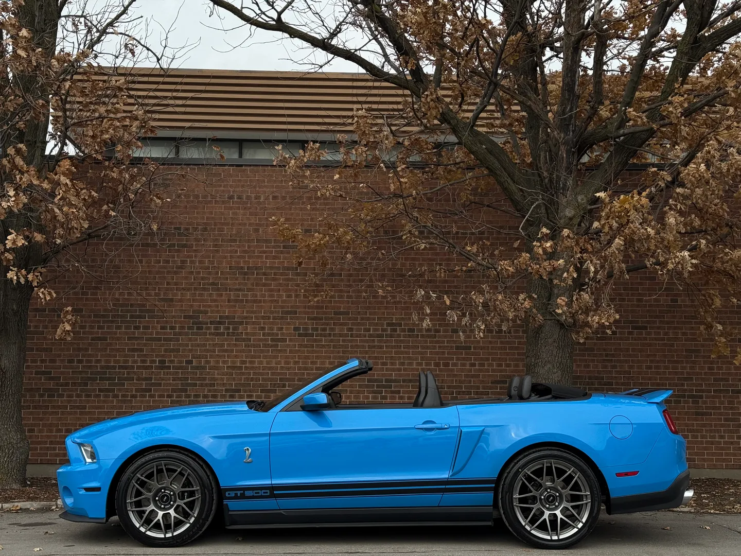 Ford Mustang Shelby GT500 6 Speed Manual Convertible — photo 11