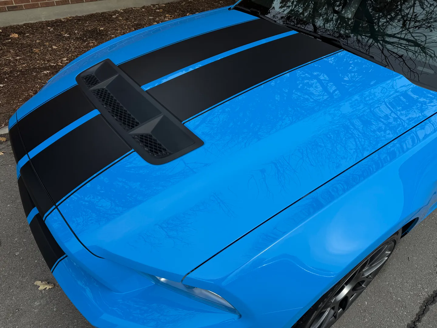 Ford Mustang Shelby GT500 6 Speed Manual Convertible — photo 16