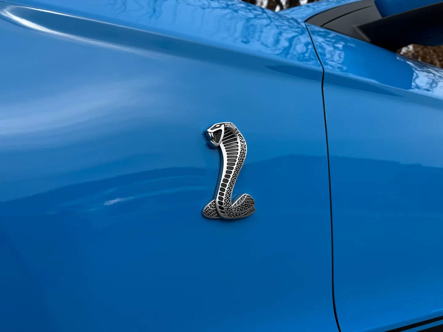 Ford Mustang Shelby GT500 6 Speed Manual Convertible — photo 19