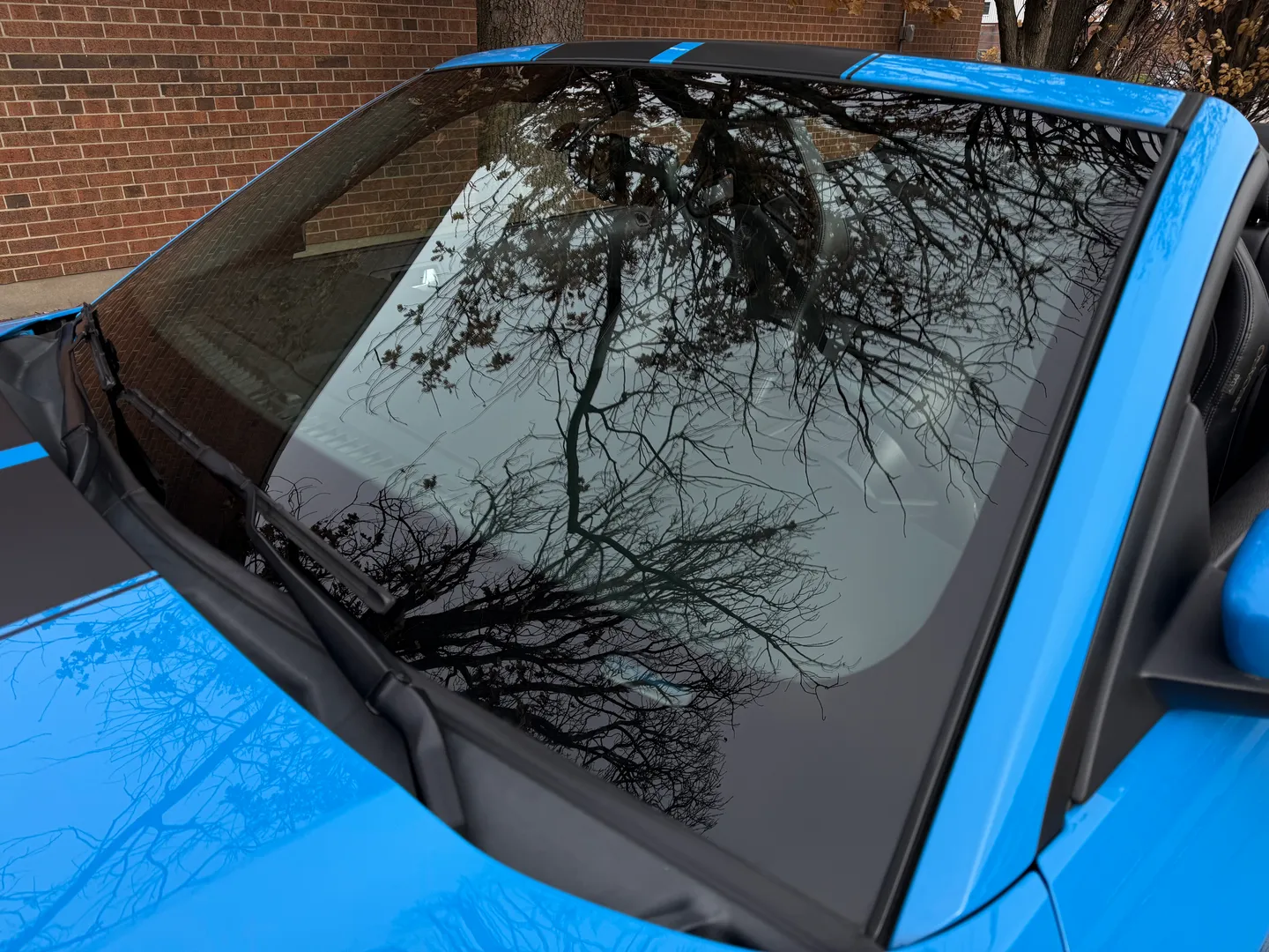 Ford Mustang Shelby GT500 6 Speed Manual Convertible — photo 17