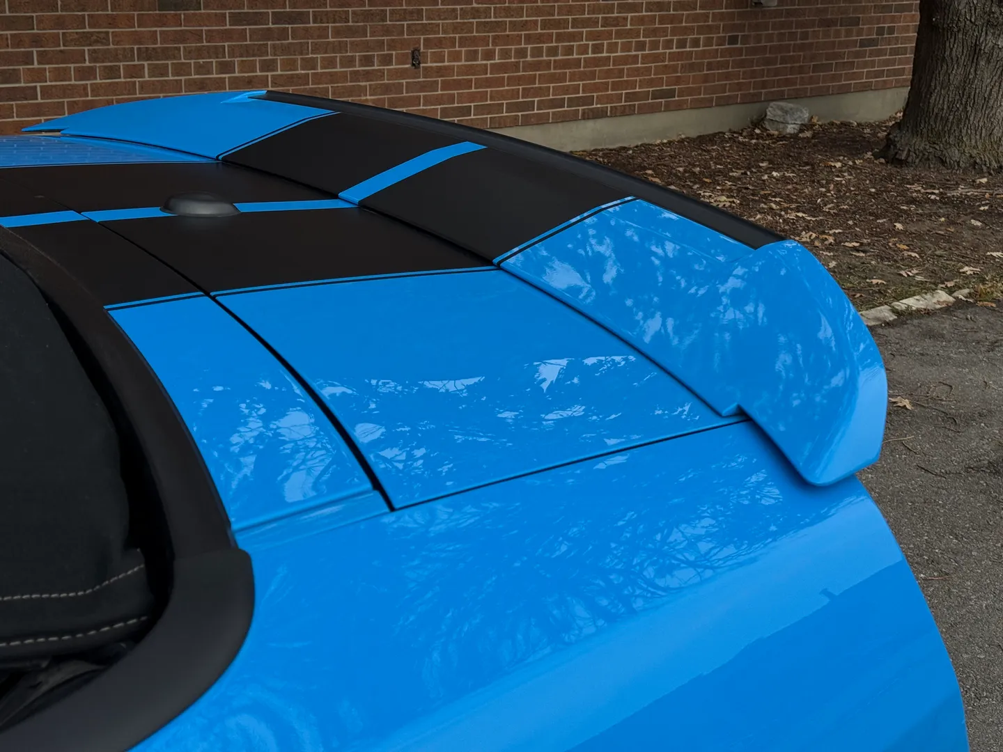 Ford Mustang Shelby GT500 6 Speed Manual Convertible — photo 24