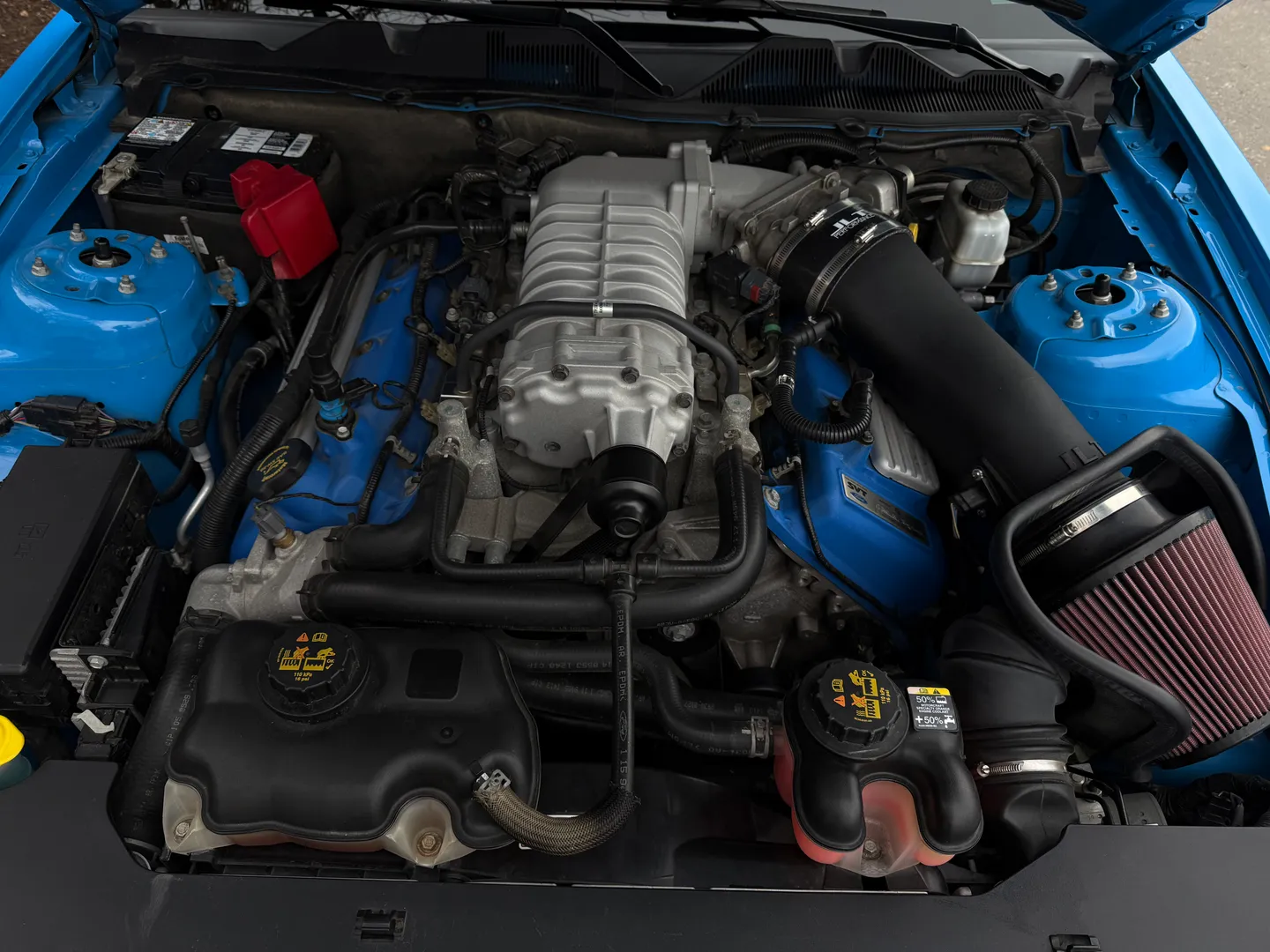 Ford Mustang Shelby GT500 6 Speed Manual Convertible — photo 38
