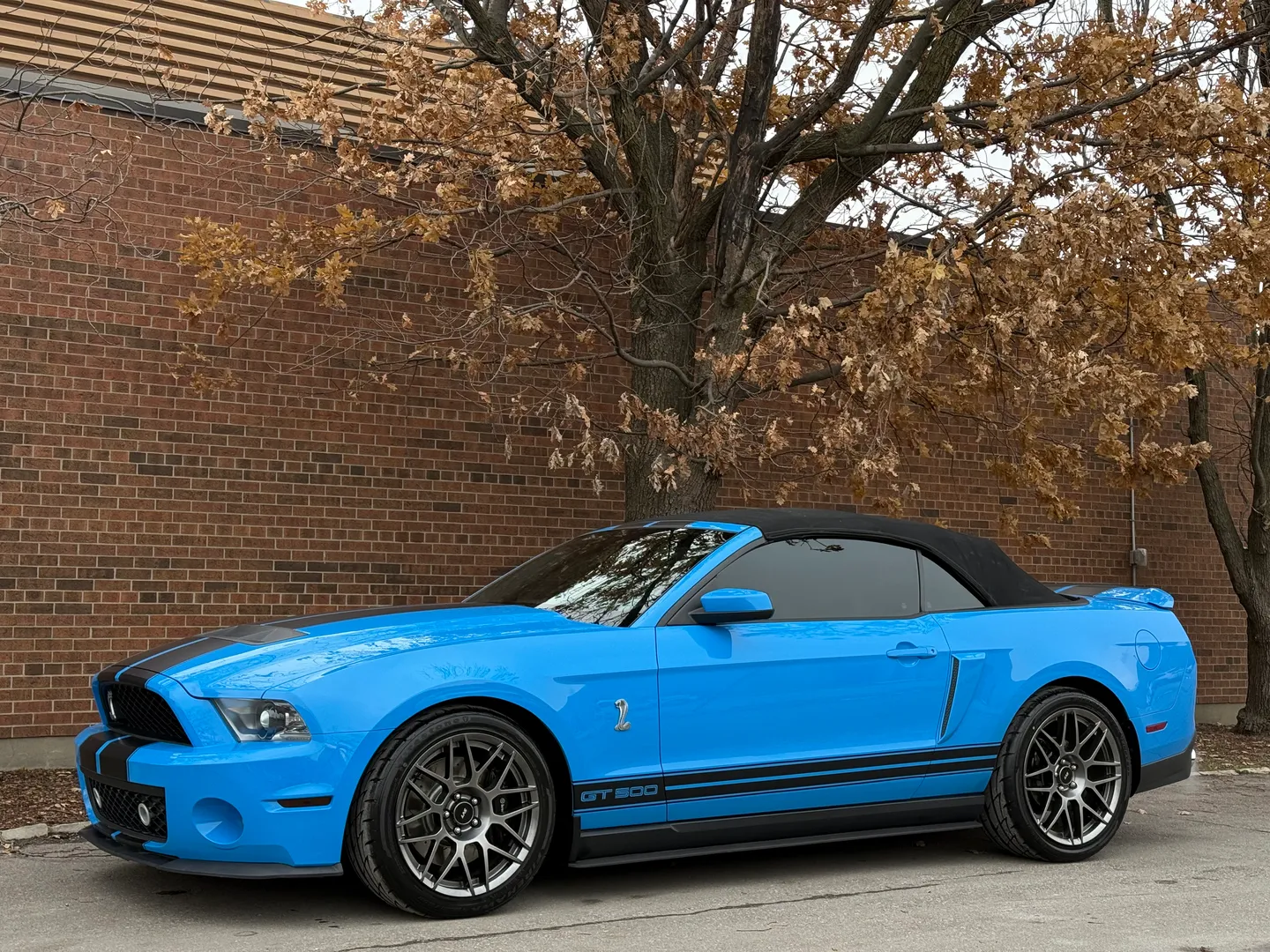 Ford Mustang Shelby GT500 6 Speed Manual Convertible — photo 43